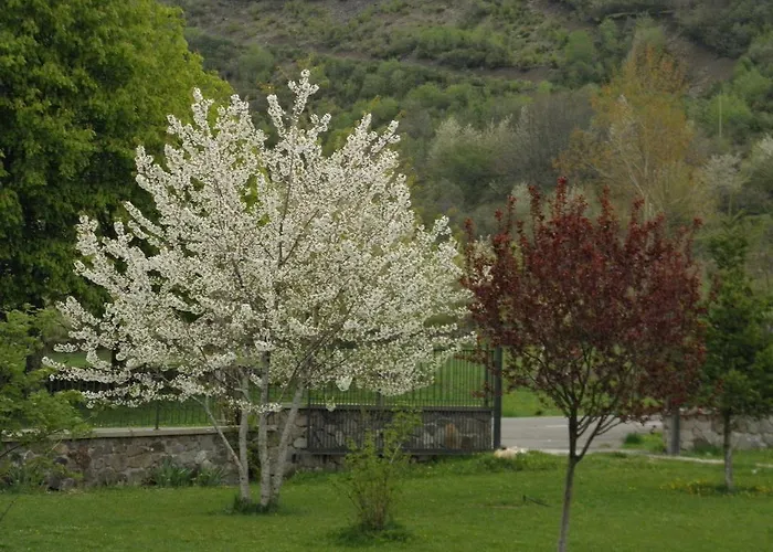 La Mora Villaseca de Laciana